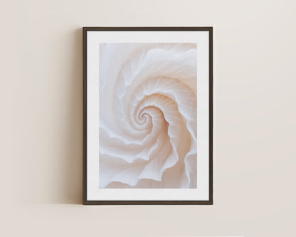 Botanical Spiral No. 2 Canvas