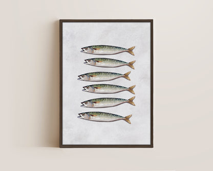 Mackerel Canvas