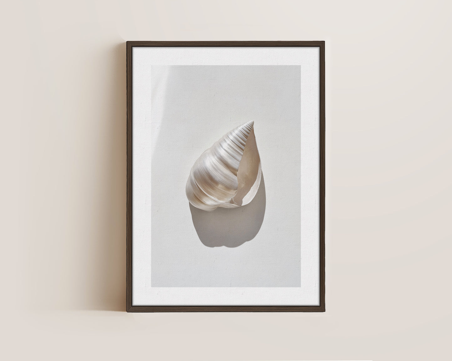 Silver Shell Canvas