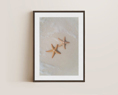 Starfish Canvas