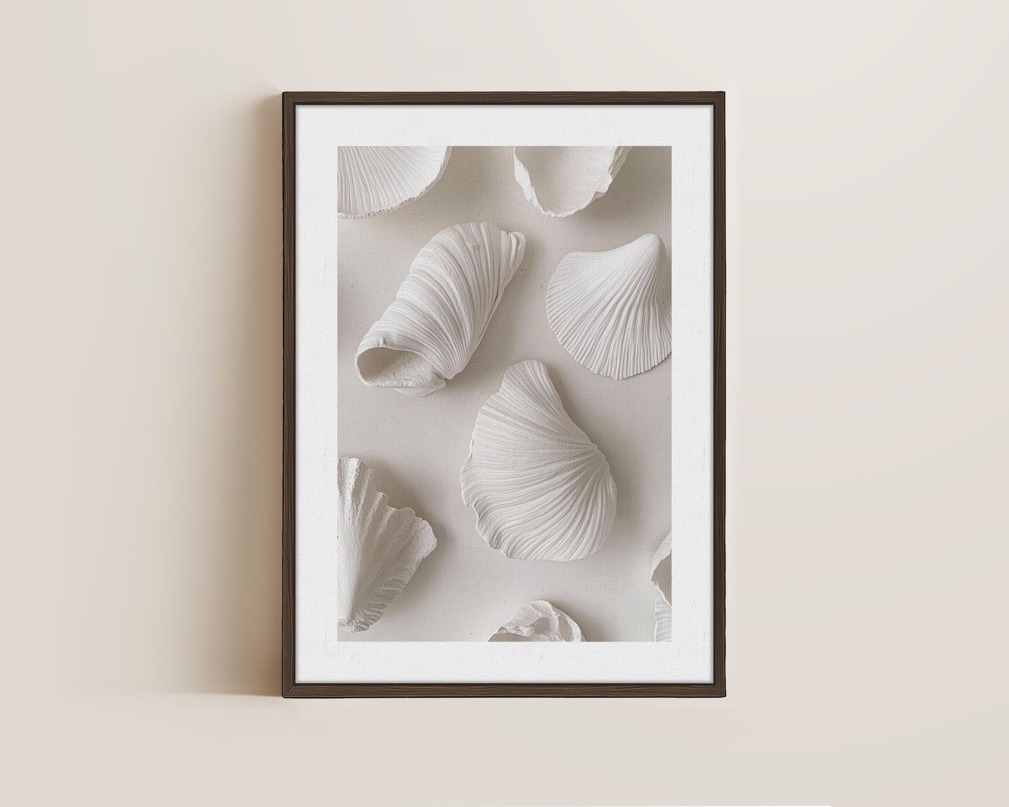 White Shells Canvas