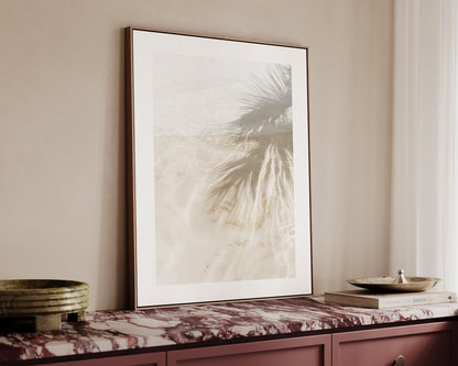 Palm Tree Shadows Canvas