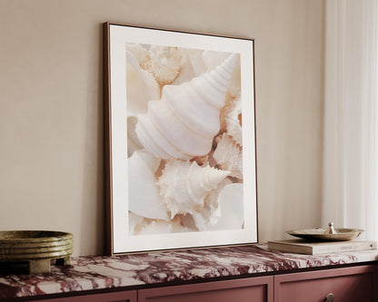 Seashells Canvas
