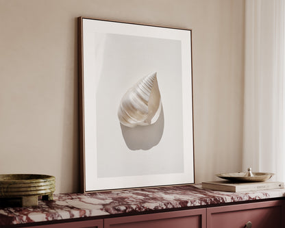 Silver Shell Canvas