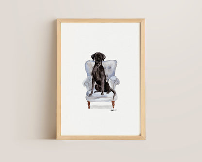 Black Labrador in Chair Print