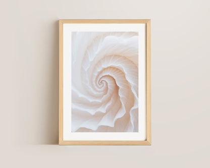 Botanic Spiral No. 2 Print