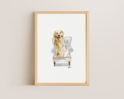 Golden Retriever in Chair Print