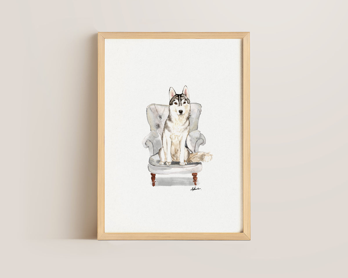 Husky in Chair Print