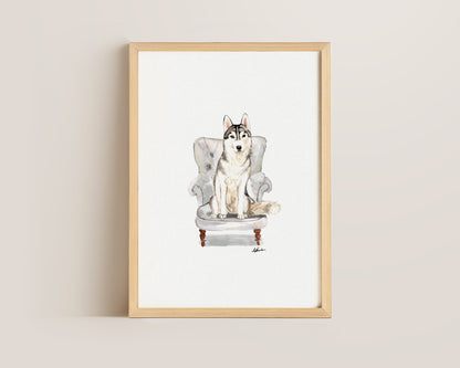 Husky in Chair Print