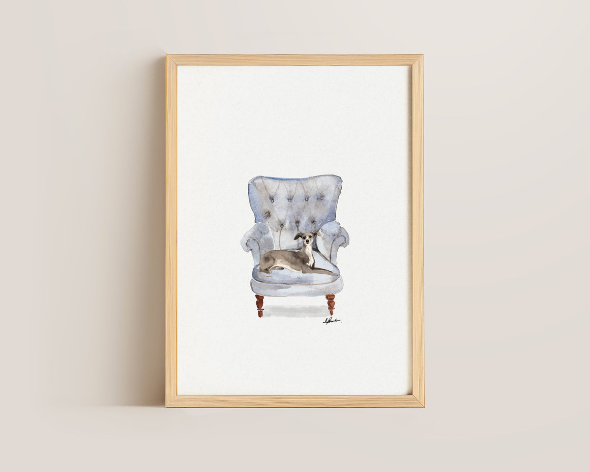 Italian Greyhound in Chair Print