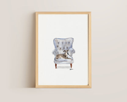 Italian Greyhound in Chair Print