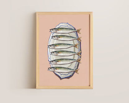 Pink Mackerel Print