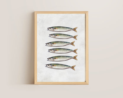 Mackerel Print