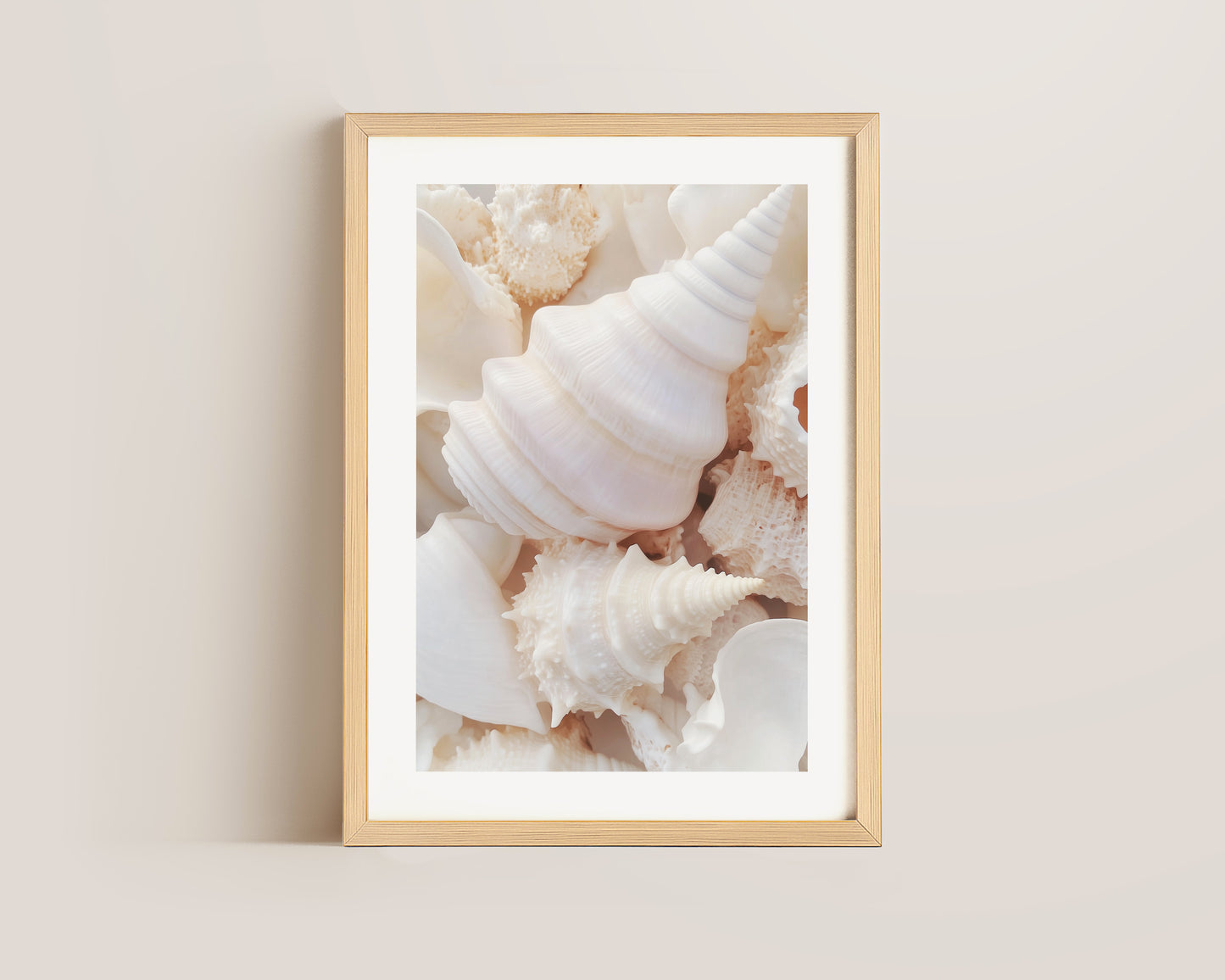 Seashells Print