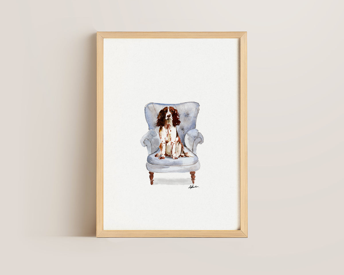 Springer Spaniel in Chair Print