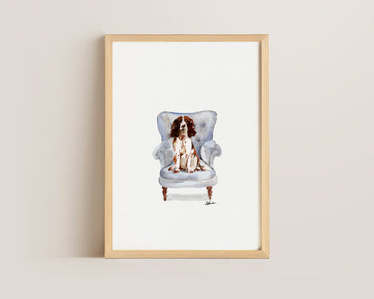 Springer Spaniel in Chair Print