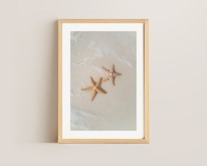 Starfish Print