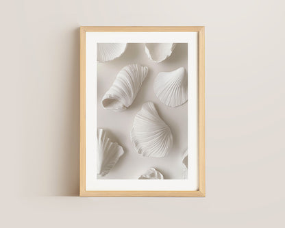 White Shells Print