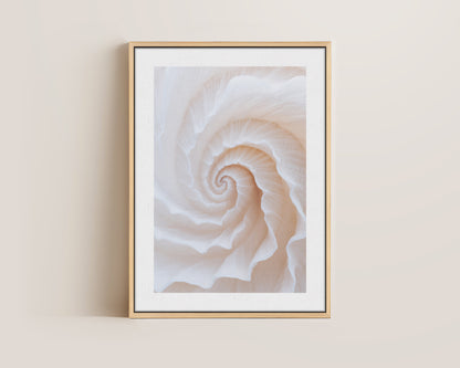 Botanical Spiral No. 2 Canvas