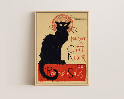 Chat Noir Canvas