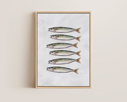 Mackerel Canvas