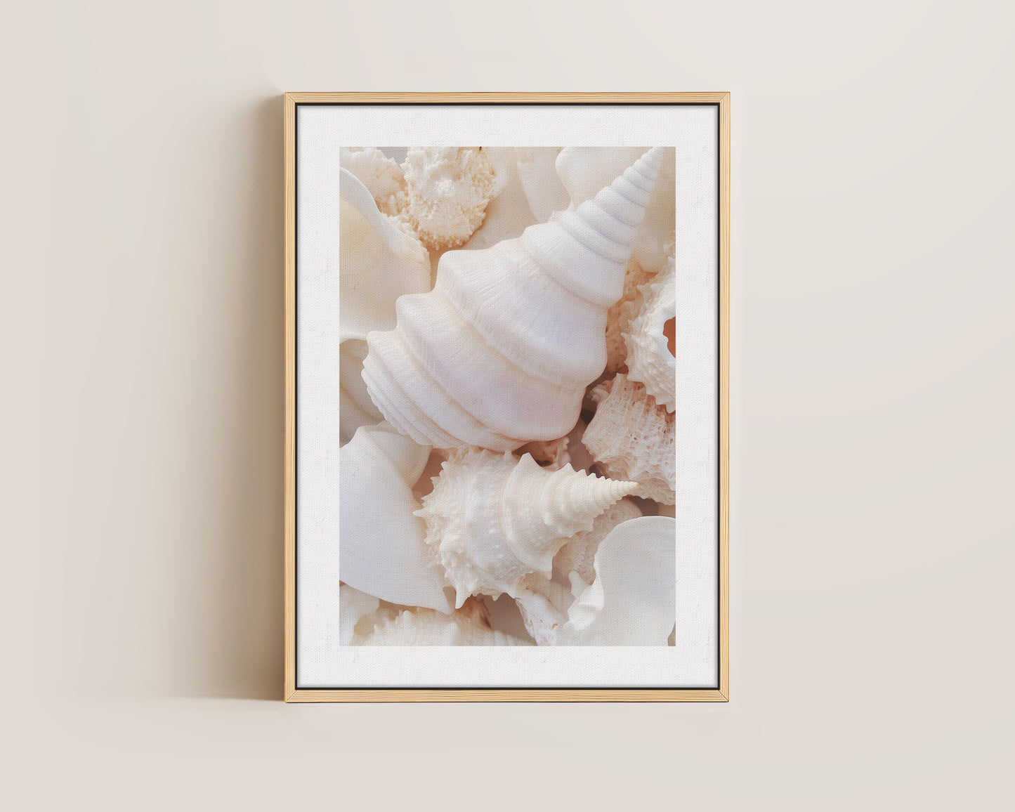 Seashells Canvas