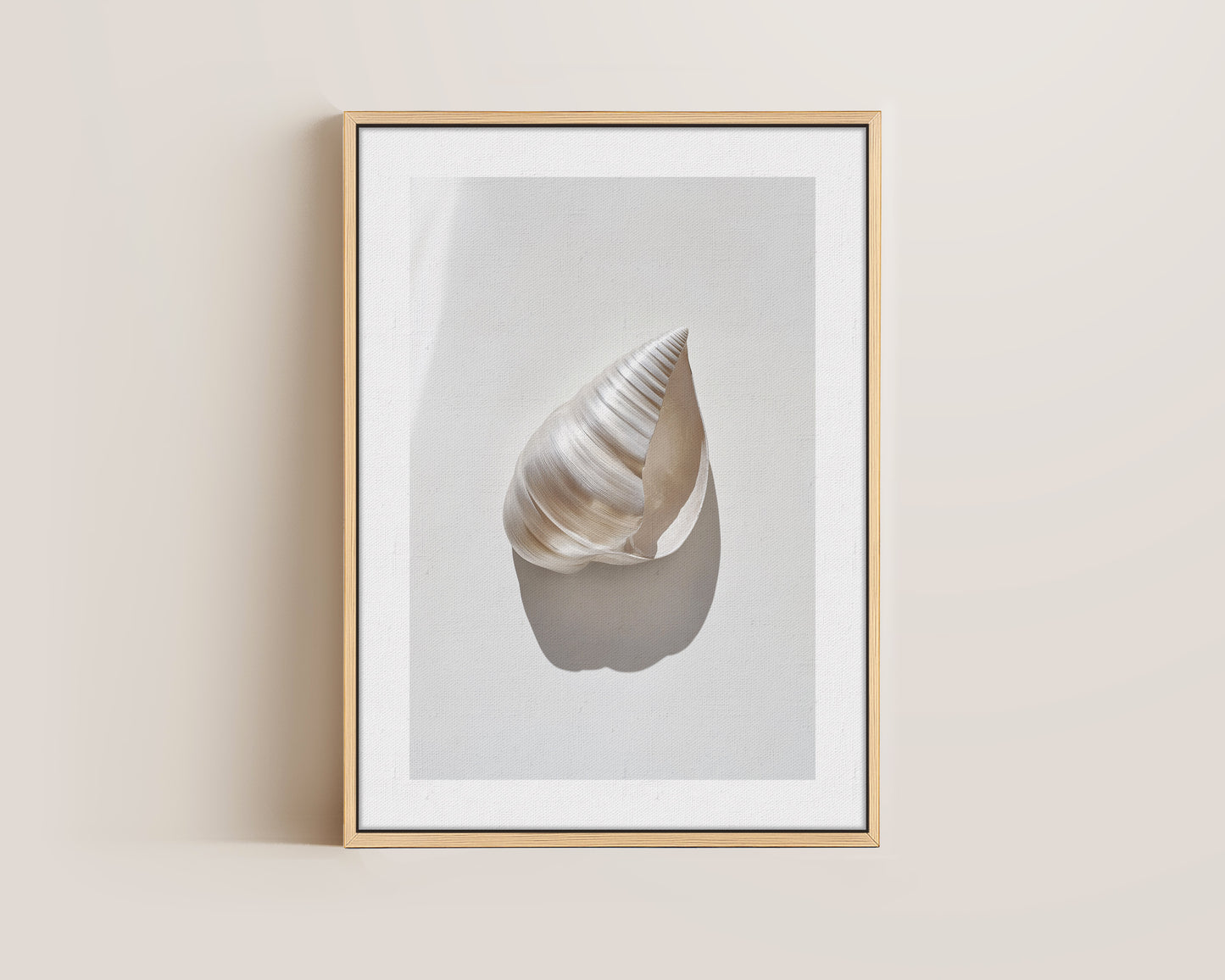 Silver Shell Canvas