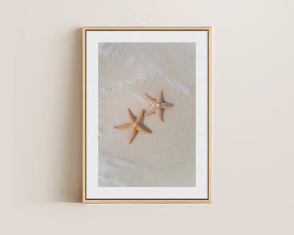 Starfish Canvas