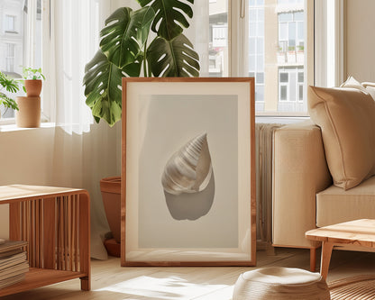 Silver Shell Print