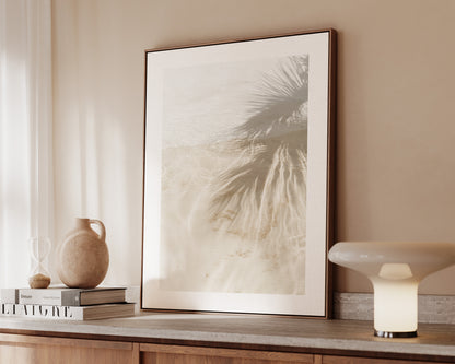 Palm Tree Shadows Canvas