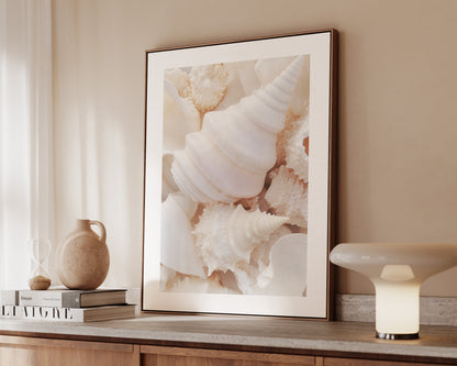 Seashells Canvas
