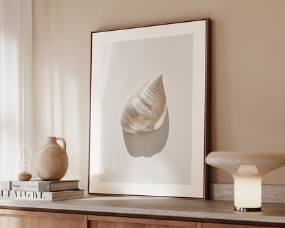 Silver Shell Canvas
