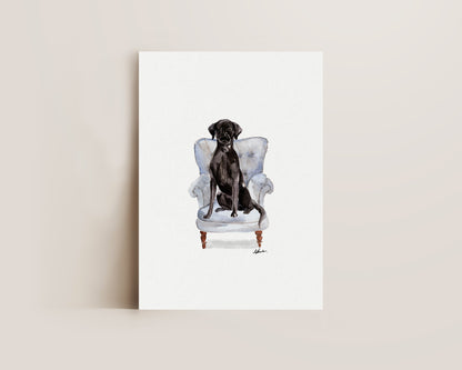 Black Labrador in Chair Print