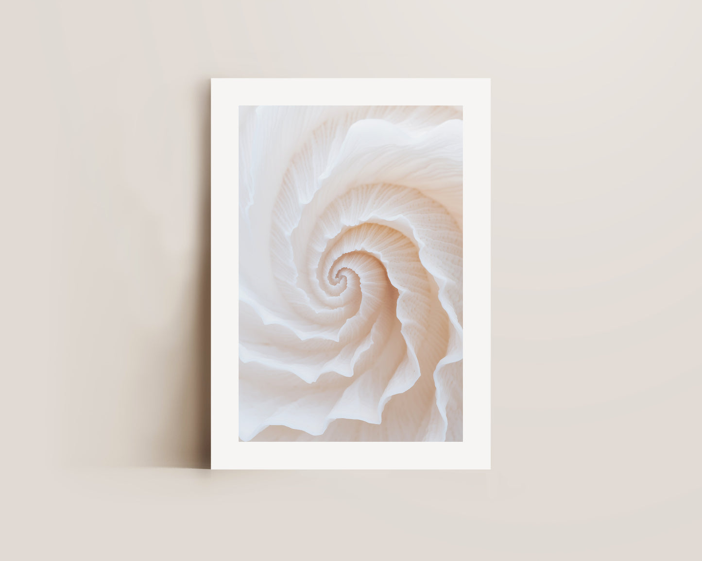 Botanic Spiral No. 2 Print