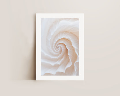Botanic Spiral No. 2 Print