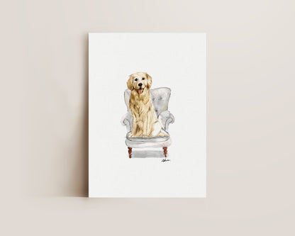 Golden Retriever in Chair Print