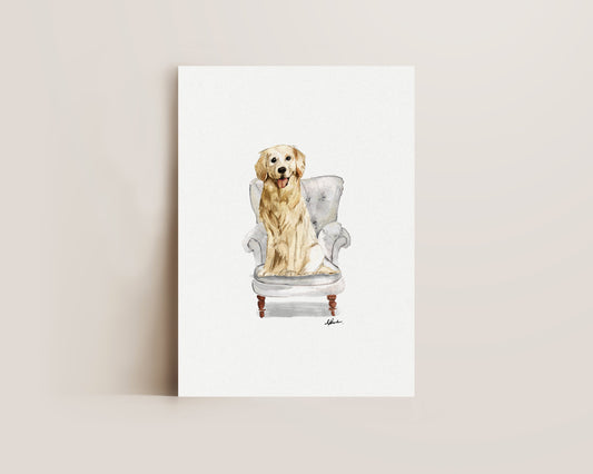 Golden Retriever in Chair Print