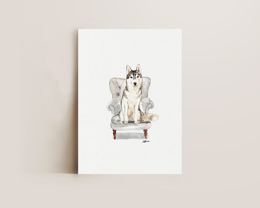Husky in Chair Print