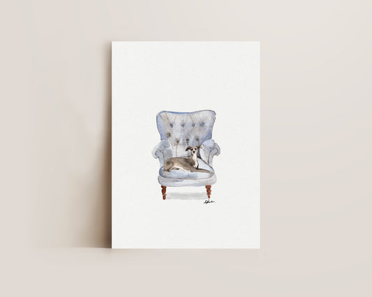 Italian Greyhound in Chair Print