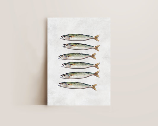 Mackerel Print