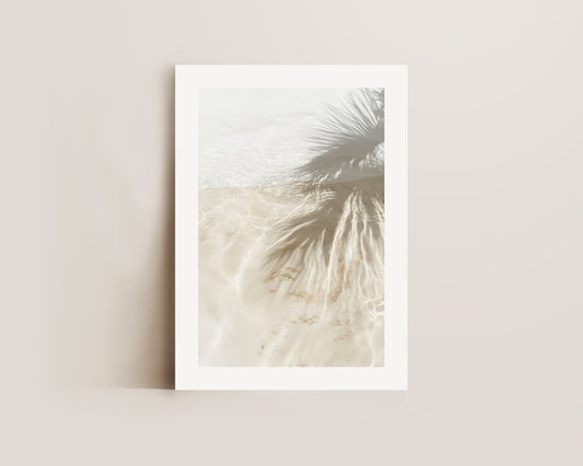 Palm Tree Shadows Print