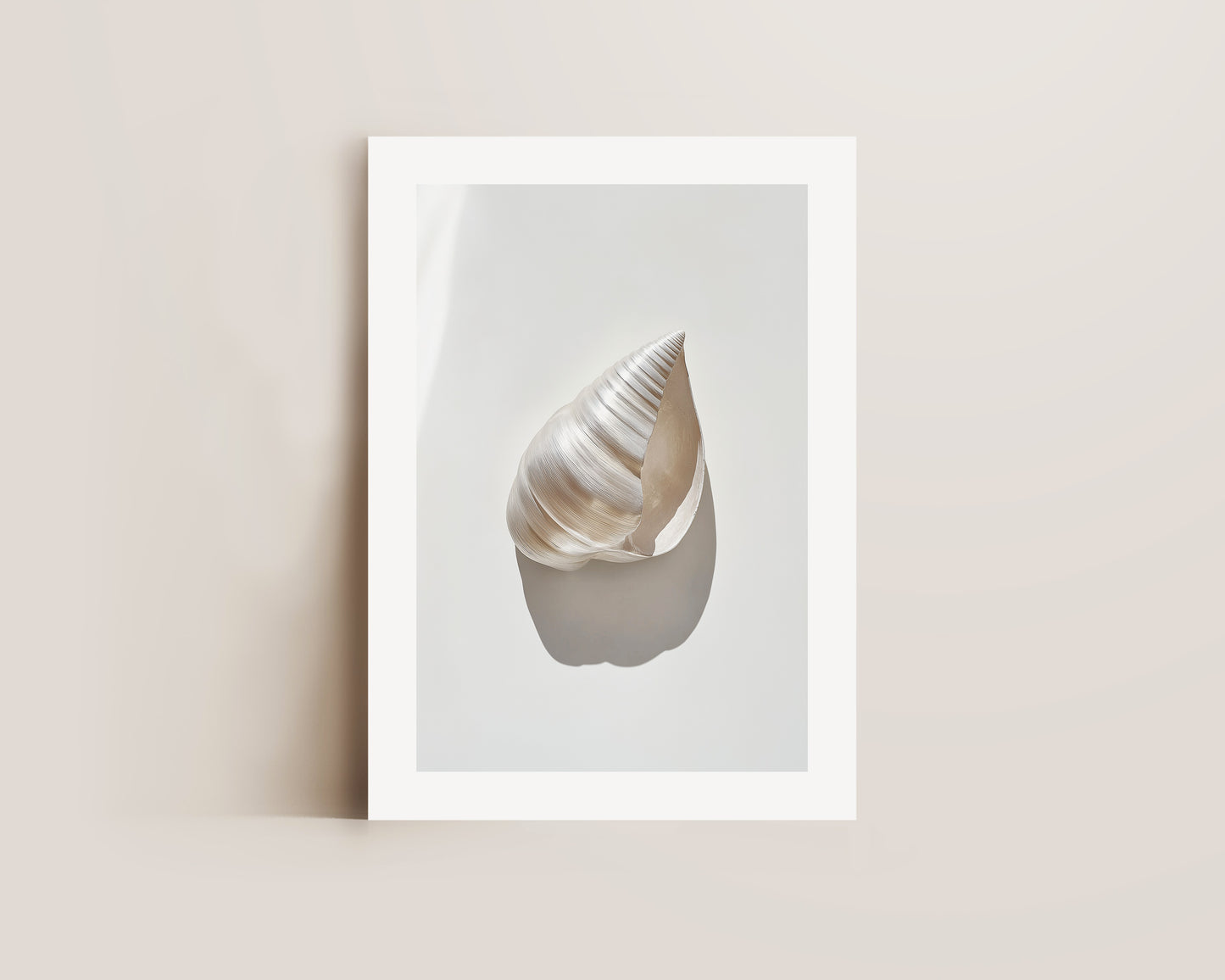Silver Shell Print