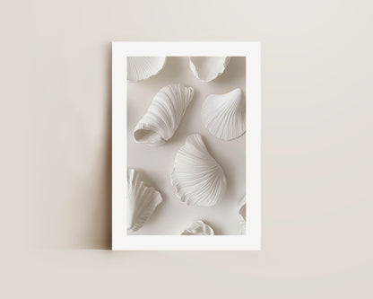 White Shells Print