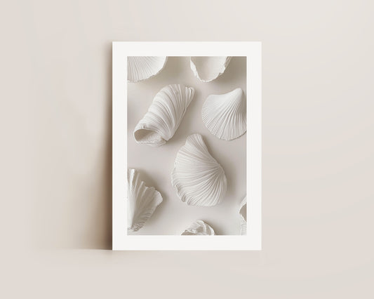 White Shells Print