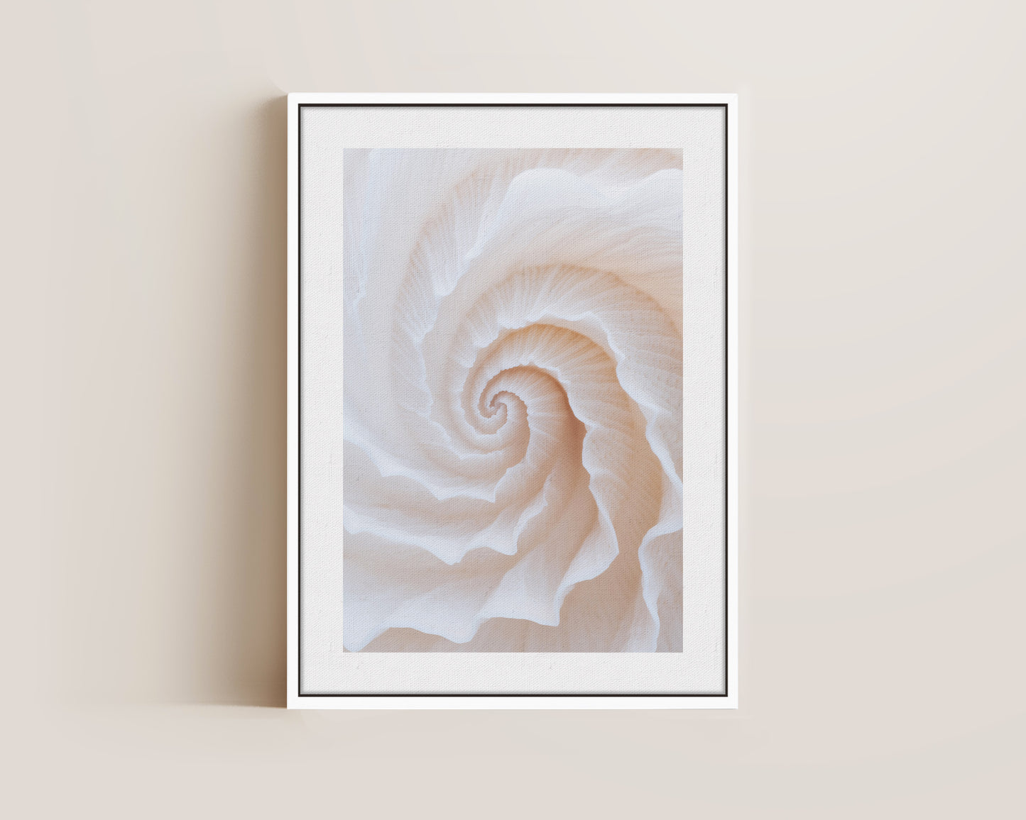 Botanical Spiral No. 2 Canvas
