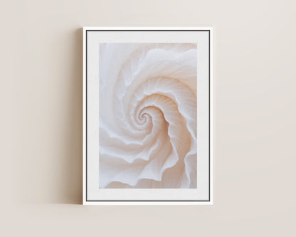 Botanical Spiral No. 2 Canvas