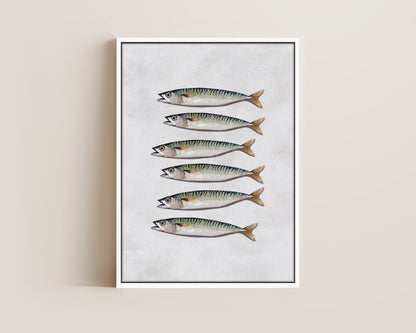Mackerel Canvas