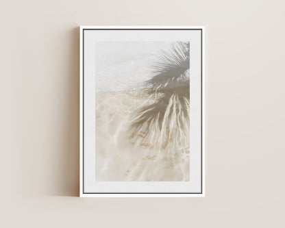 Palm Tree Shadows Canvas