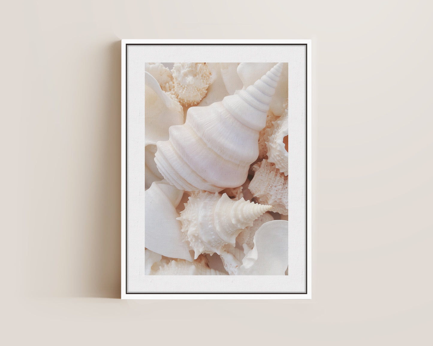 Seashells Canvas