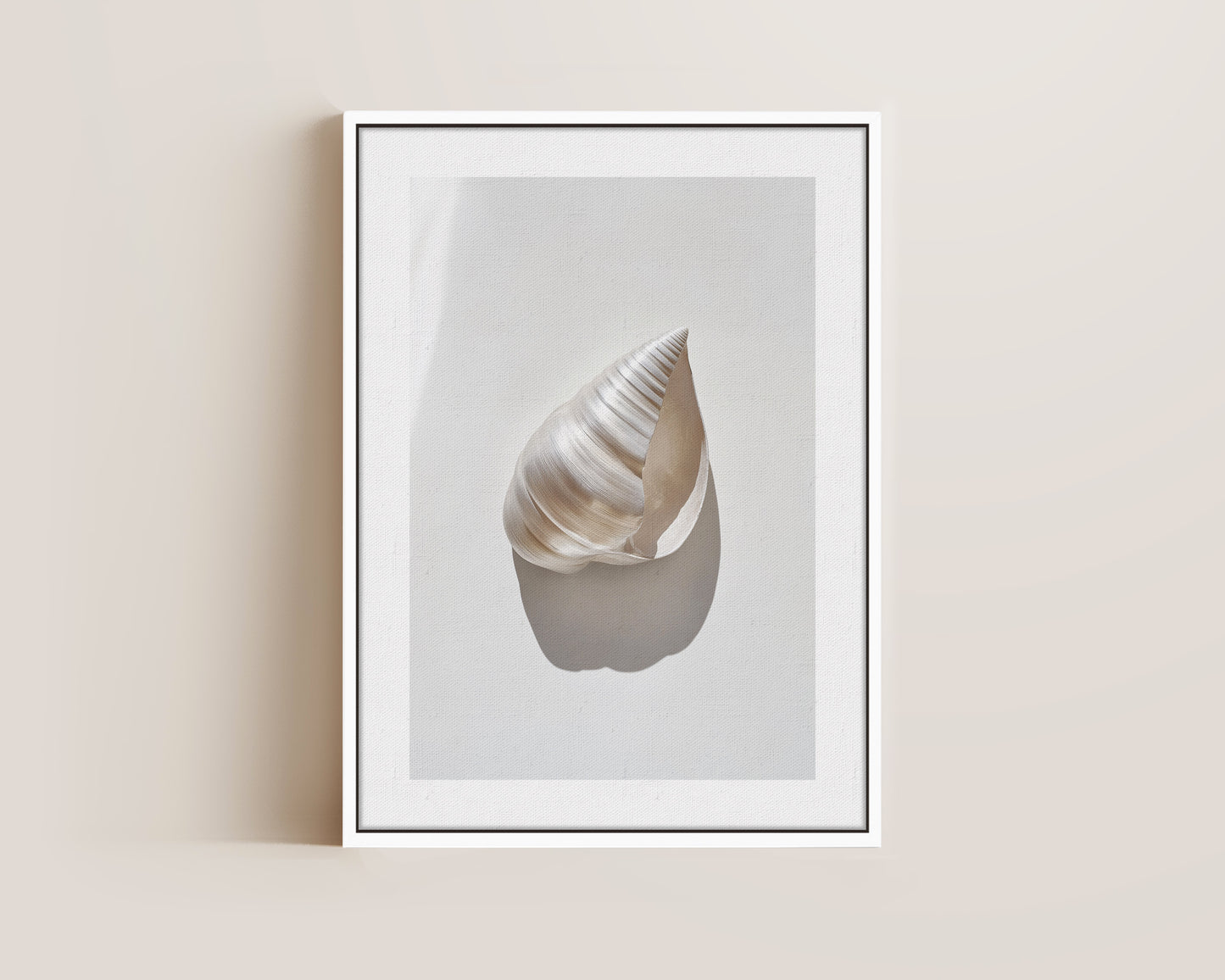 Silver Shell Canvas